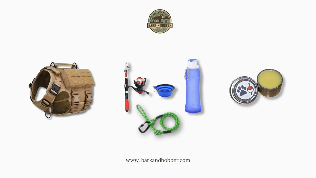 Going on an Adventurous Trip with Your Dog: Things You Should Not Miss