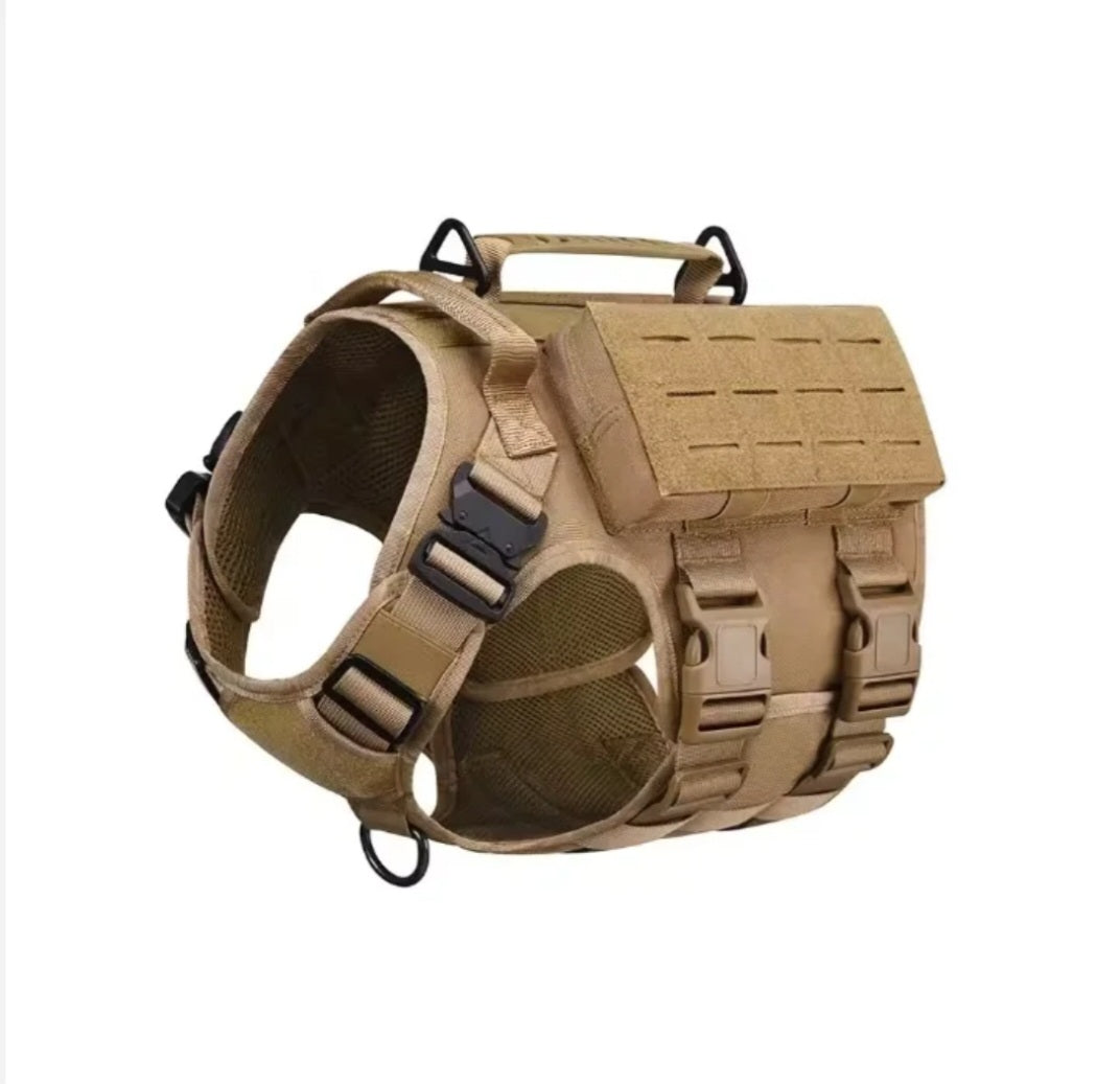 Adventure Kit™ by Bark and Bobber